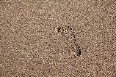 《高等动物》6月17日15点开放Steam游戏节试玩